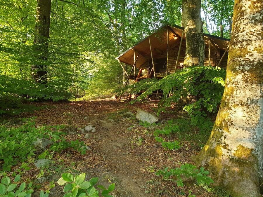 En enkel, rustik träkonstruktion som ligger i ett skogsområde, med en grusväg som leder fram till den.