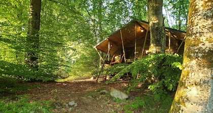 Timmerkoja på Österlen