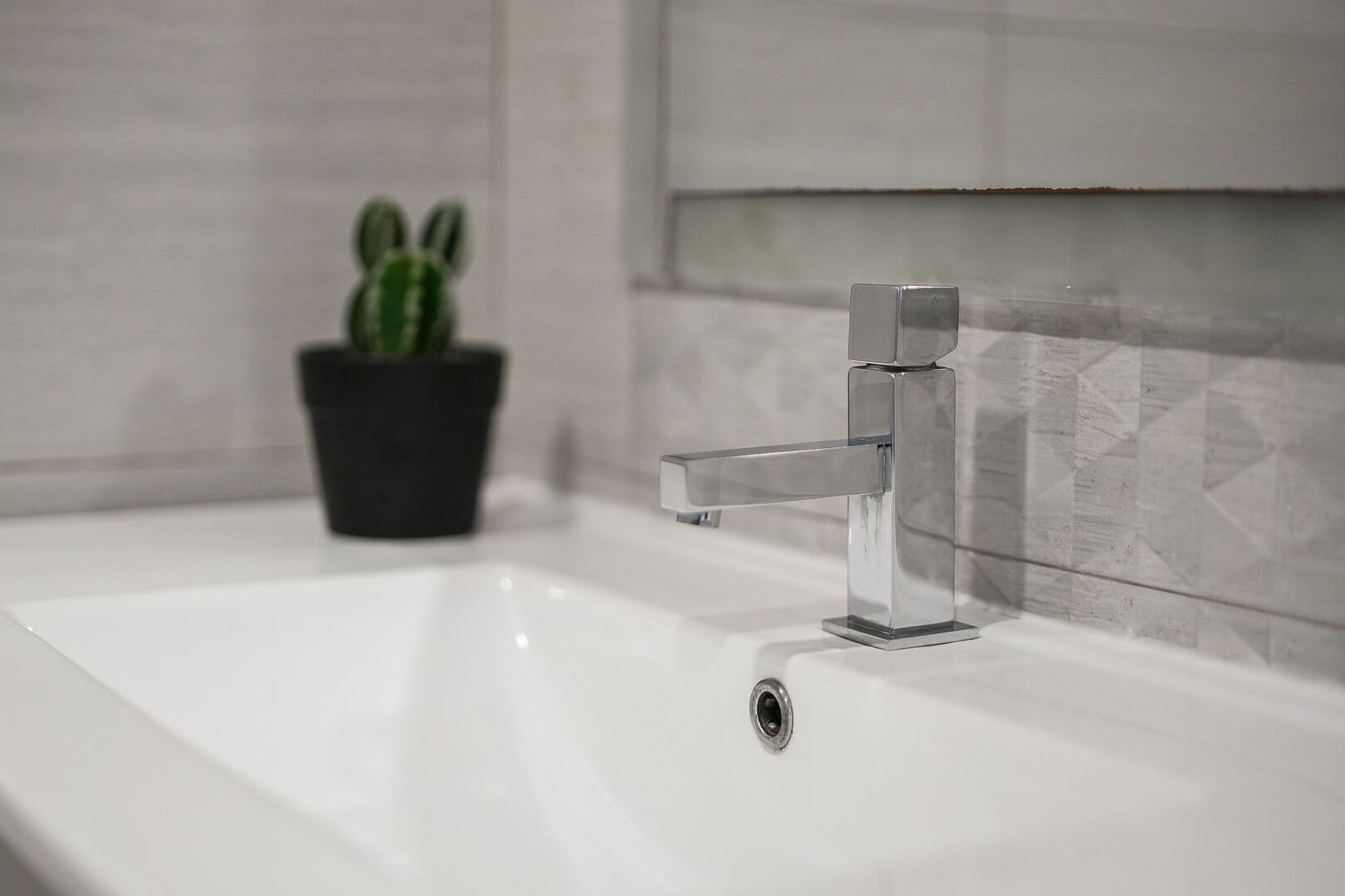 A modern bathroom with a chrome faucet, a white sink, and a potted plant.