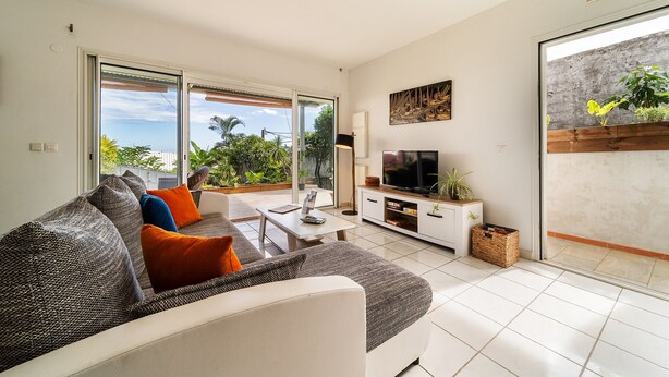 A modern living room with a sofa, TV, and balcony with plants. - seasonal rental for 4 people max in large independent garden level (Saint Paul)