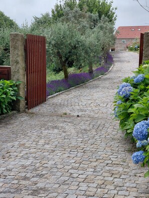 A cobblestone pathway leading to a gated entrance with a wooden fence.