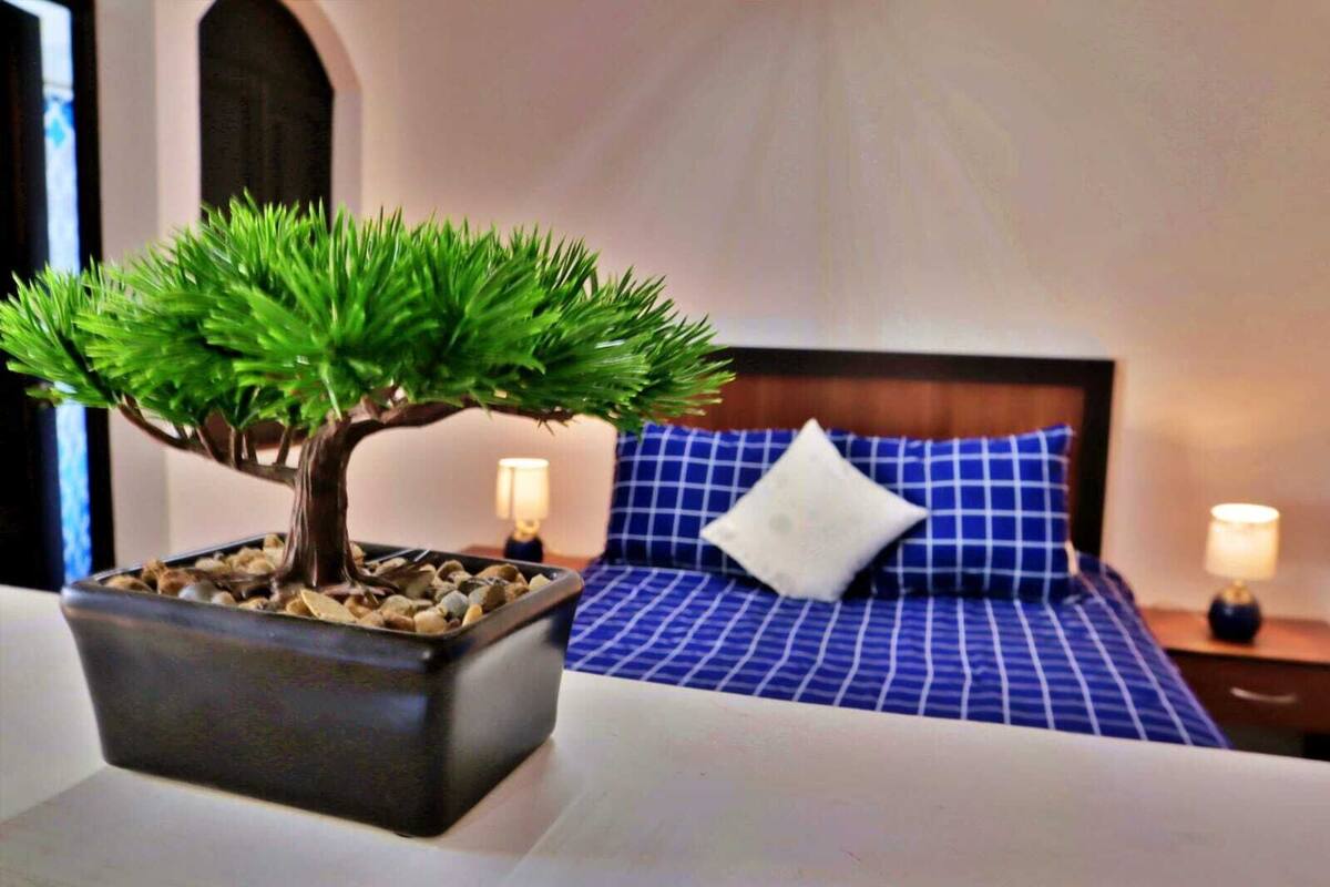 Una cama bien hecha con ropa de cama azul y almohada blanca, un pequeño bonsái en una mesita de noche, y dos lámparas de noche.