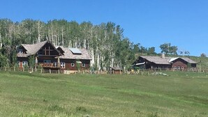 Une cabane rustique aux murs en bois, entourée d’un champ clôturé et d’une forêt dense.