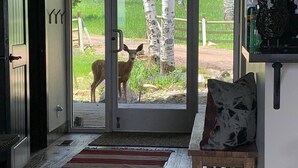 Une pièce avec un banc en bois, un tapis à rayures rouges et blanches et une porte donnant sur l’extérieur, où l’on peut apercevoir un cerf.