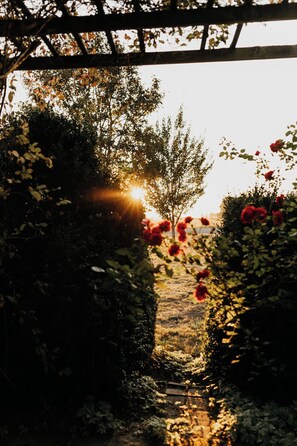 Property grounds - Timeless retreat for nature-lovers (Bow)