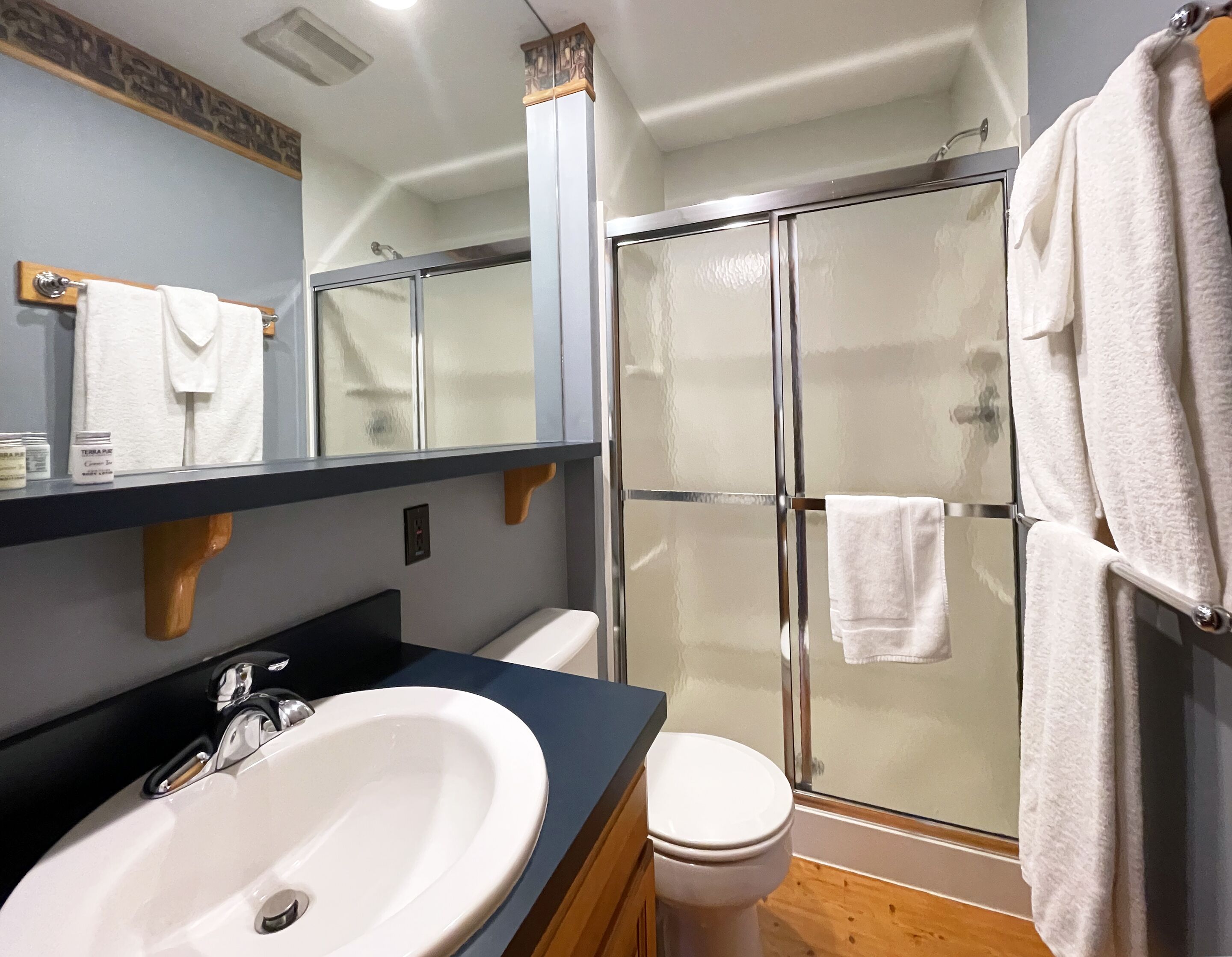 Shower, hair dryer, towels