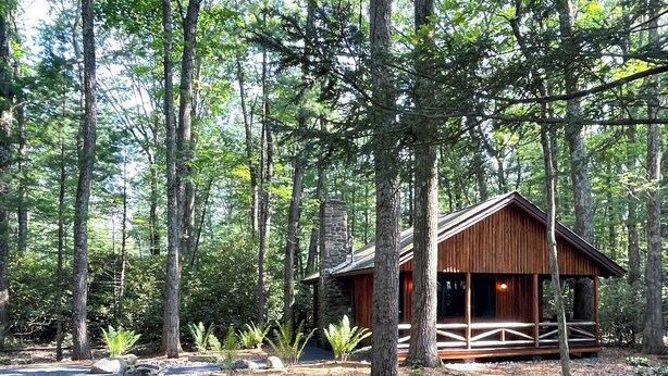 A rustic cabin surrounded by tall trees in a forest.