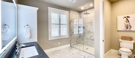Shower, hair dryer, towels