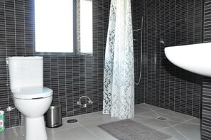 Dusche, Haartrockner, Bidet, Handtücher