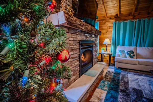 リビング エリア