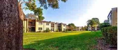 A building with a flat roof, a grassy lawn, and a tree in the foreground.