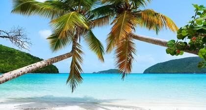 Oceanview Escape | Walk to Cruz Bay & Beaches