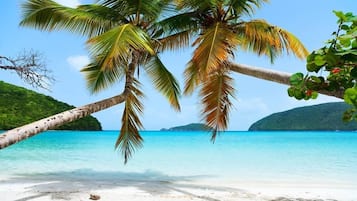 Nära stranden