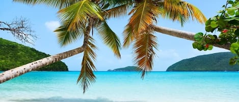 在海灘附近