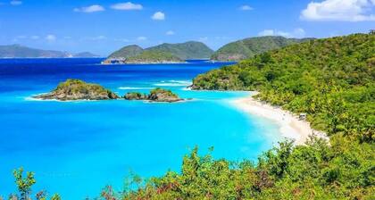 Oceanview Villa | Walk to Beach & Cruz Bay