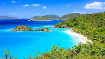 海滩