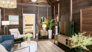 A modern living room with a sofa, coffee table, and a TV. There is a mirror, a lamp, and a potted plant. - Oceanview Cottage | Walk to Beach & Restaurants (Cruz Bay)