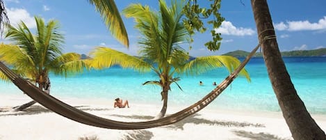 Vlak bij het strand
