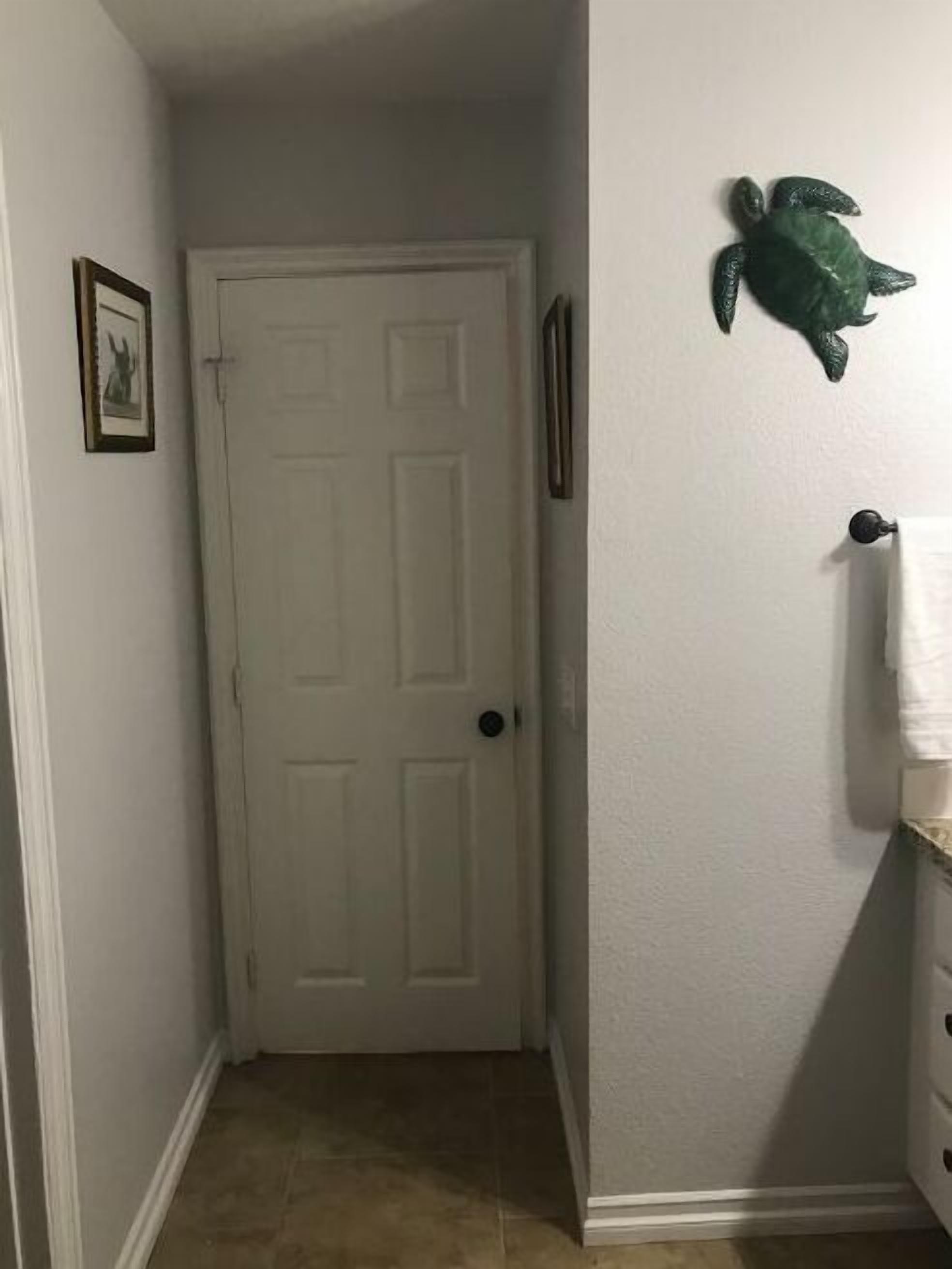 A hallway with a white door, a framed picture on the left, and a green turtle decoration on the wall.