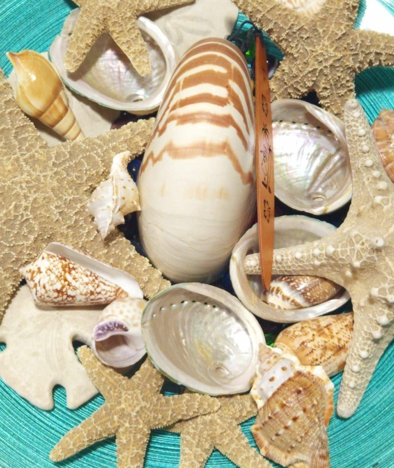 A collection of seashells and a starfish on a textured surface.