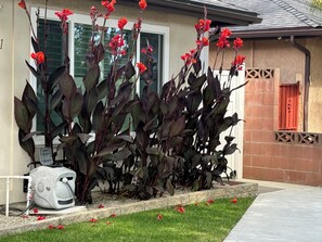 Property grounds - Romantic Coastal Private Room is located 10 minutes from all sightseeing places  (Oxnard)