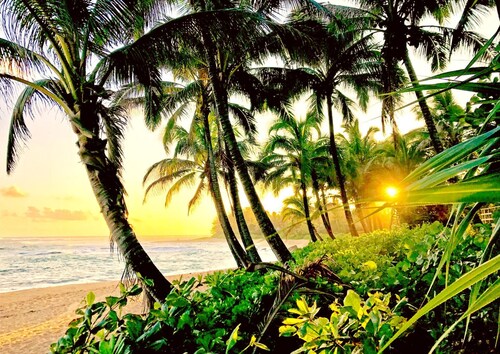 Islands at Mauna Lani IML-E4 by KBM