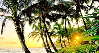 Islands at Mauna Lani IML-E4 by KBM