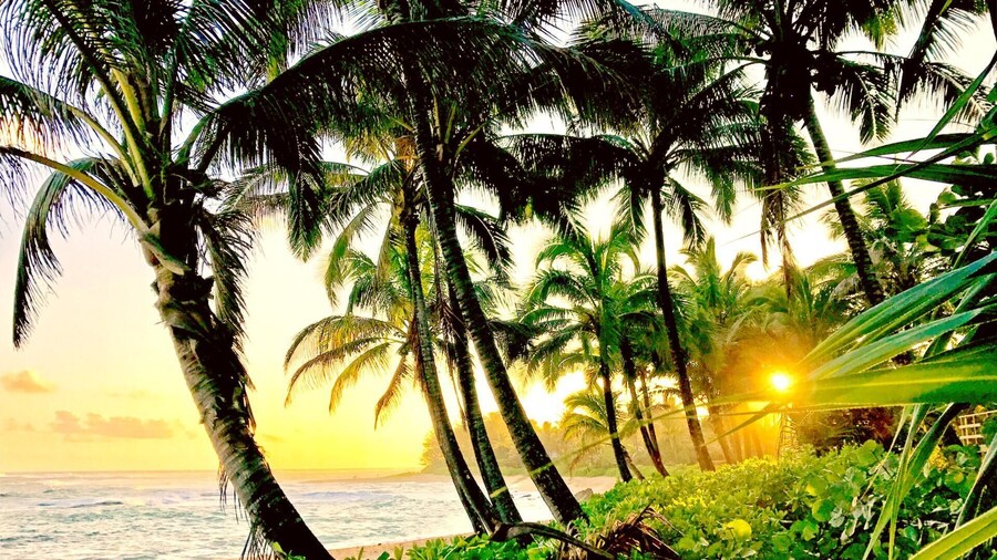 Islands at Mauna Lani IML-E4 by KBM