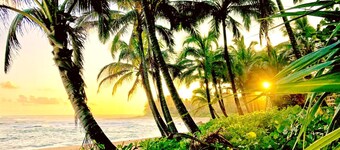 Islands at Mauna Lani IML-E4 by KBM