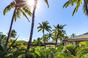 Condo (2 Bedrooms) | View from room