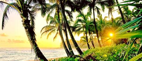 Lägenhet (2 Bedrooms) | Boendets fasad