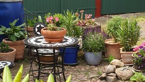 Un espace patio avec une table ronde et des chaises, entouré de plantes en pot et d’une variété de fleurs.