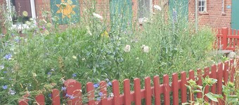 Behindertenfreundliche Ferienwohnung mit Blick auf den Elbedeich