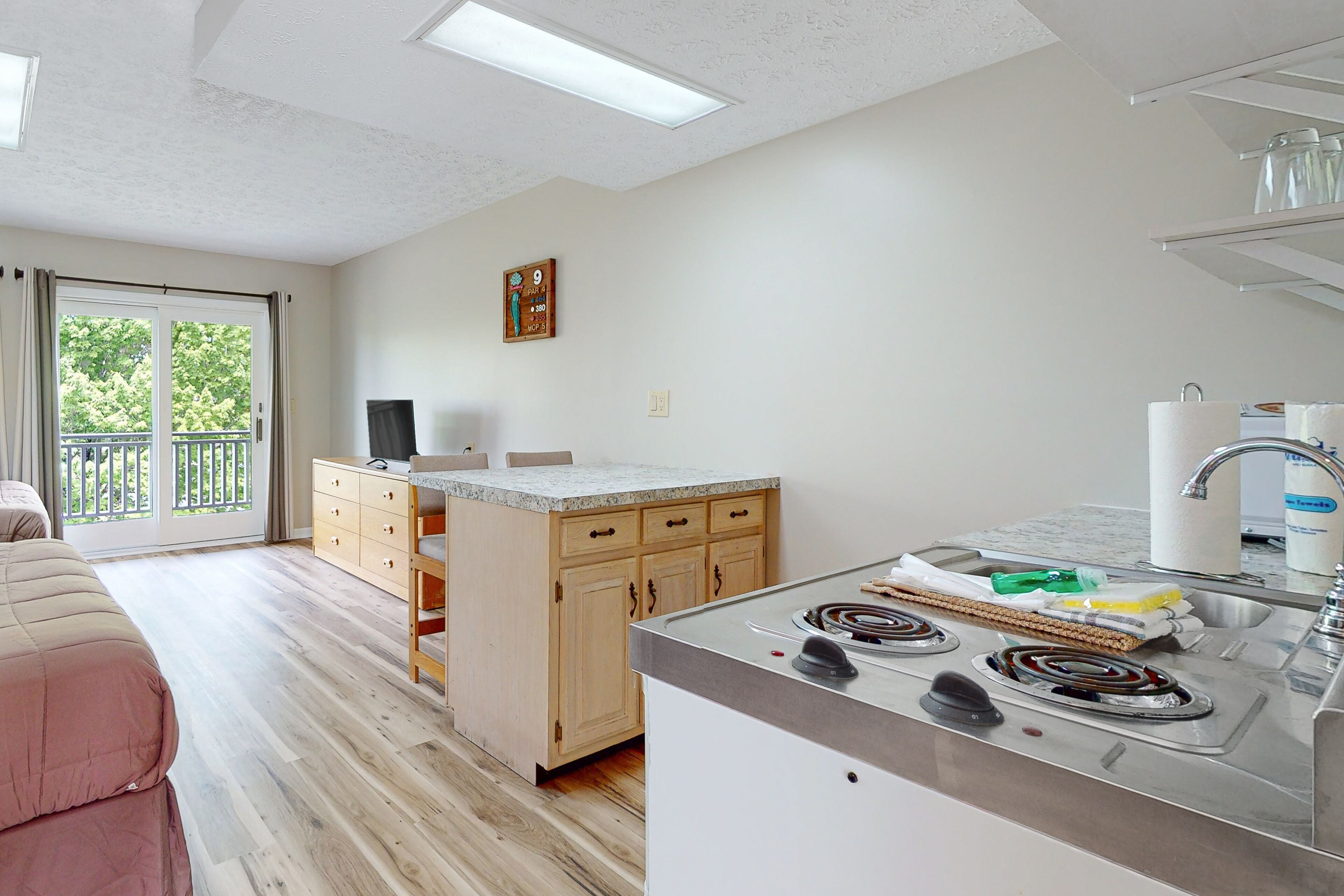 Dog-friendly, 2nd-floor studio with patio & gym - close to golf & Douglas Lake