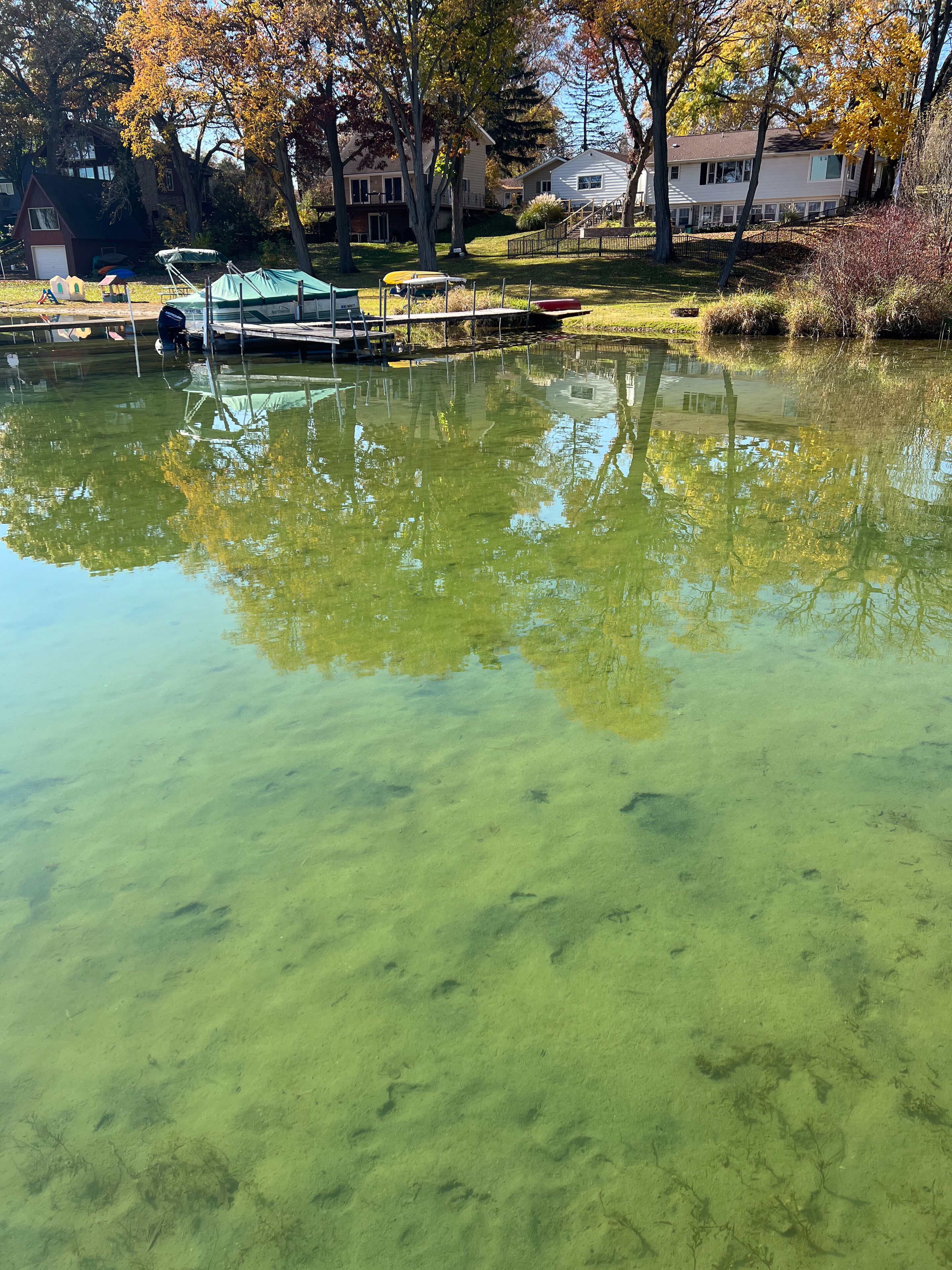 A clear pond with reflections of trees and houses in the background.