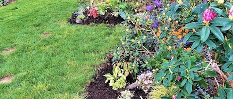 Jardines del alojamiento