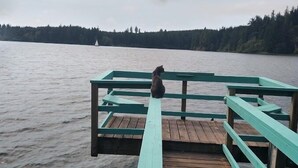 Un muelle de madera se extiende sobre un lago tranquilo, con un perro sentado al borde.