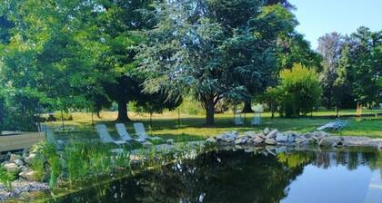 Chùteau de Féligonde - SAYAT