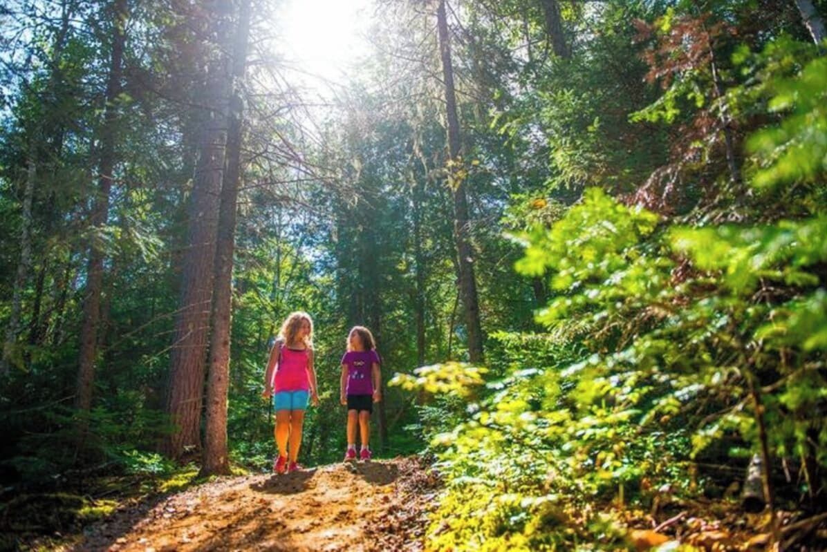 Zwei Personen wandern auf einem Waldweg, umgeben von dichtem Baumbestand.