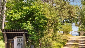 A rustic wooden structure with a metal door, surrounded by lush greenery and a dirt path leading to a body of water.