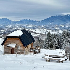 Exterior - Refurbished barn looking over the mountains - 20 min away from Dracula's Castle (Fundata)