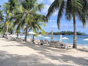 A beach with rows of sun loungers and umbrellas, palm trees, and a view of the sea.