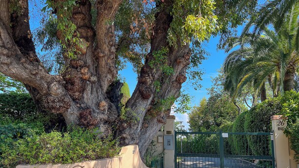 A gated entrance with a sign reading "Parc de la Badine" and a large tree in the foreground. - LA BADINE Studio AirCo Pool for 2 By Sunset (Antibes)