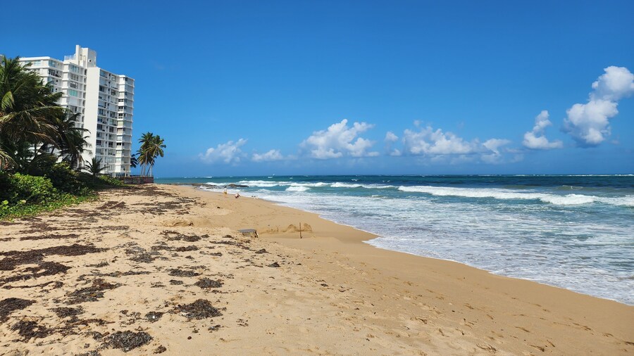 Gorgeous 1-Bedroom Beachside Suite