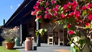 Un edificio con un espacio exterior techado, plantas en macetas y un césped.
