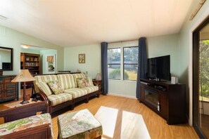 Smart-TV, Kamin, DVD-Player, Bücher