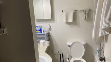 Hair dryer, towels, soap, toilet paper