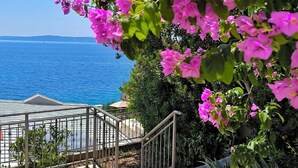 A staircase leading to a terrace with a view of the sea, surrounded by pink bougainvillea flowers and various plants. - Villa with pool 50 m from the sea (Okrug Gornji)