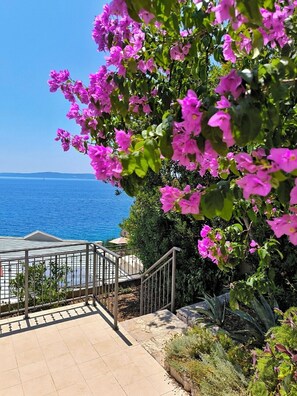 Terrain de l’hébergement 