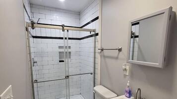 A modern bathroom with a glass shower enclosure, a toilet, and a sink with a mirror above it.
